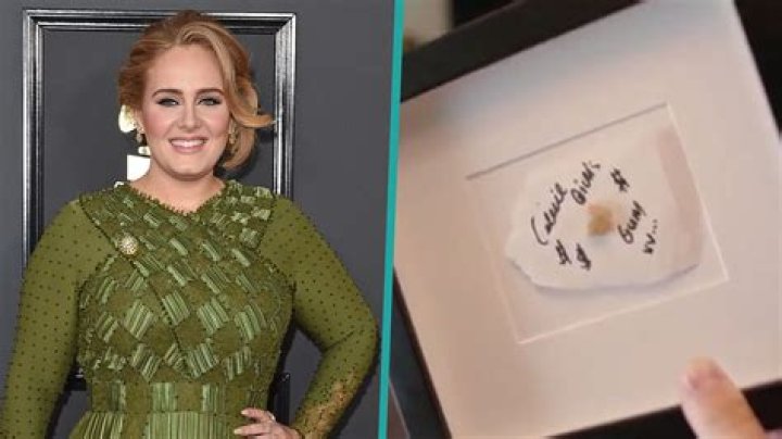 Adele Keeps Framed Piece Of Gum Chewed By Celine Dion In Her House
