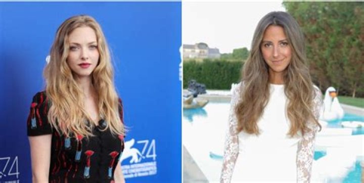 Amanda Seyfried Slams Arielle Charnas’ Bikini Pic & Receives Backlash – Hollywood Life
