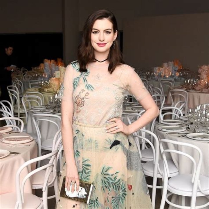 Anne Hathaway Announces Second Pregnancy With Surprise Baby Bump Instagram — See Pic