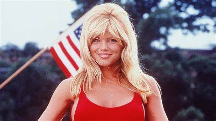 ‘Baywatch’ Star Donna D’Errico, 51, Shops For Toilet Paper & Pays Homage To Her Iconic Character 