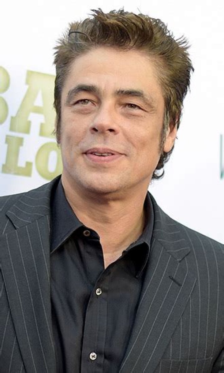 Benicio del Toro Celebrity Profile – Hollywood Life