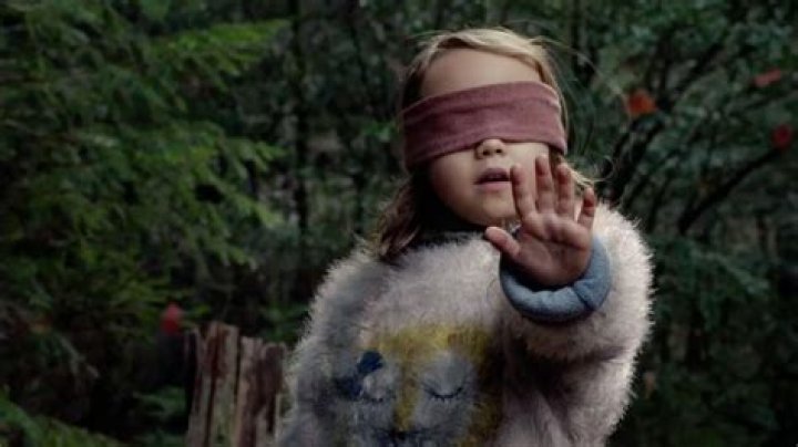 ‘Bird Box’ Movie — Photos