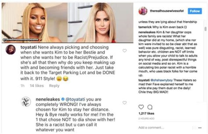 Brielle Biermann Reignites NeNe Leakes Feud With Scathing Instagram Diss: You’re ‘Extinct’