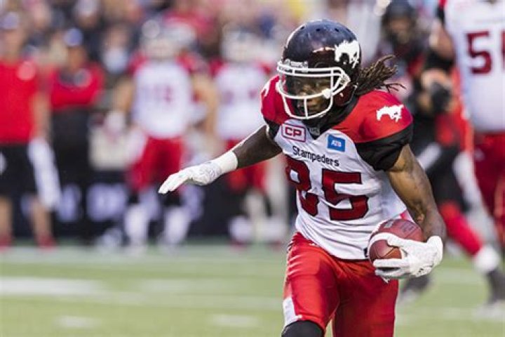 Calgary Stampeders — PICS