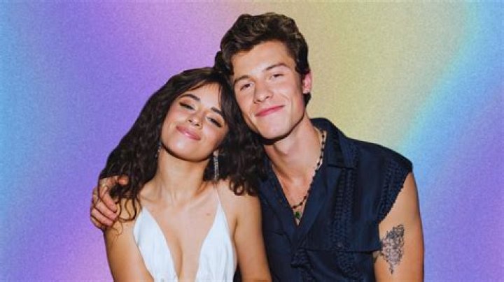 Camila Cabello Reveals Shawn Mendes Is Teaching Her How To Play Guitar & She’s Teaching Him Spanish