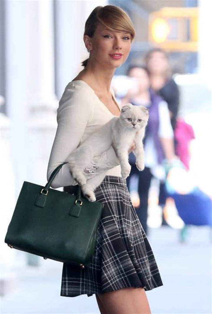 Celebrity Cat Lovers: Taylor Swift, Katy Perry & More