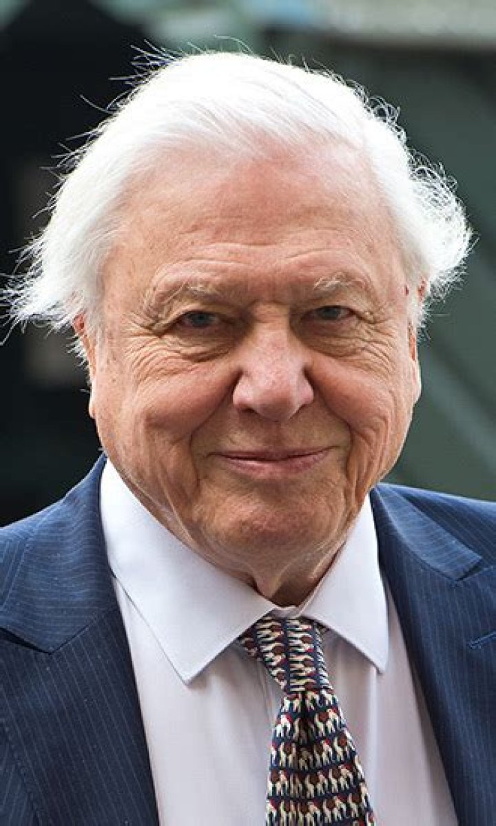 David Attenborough Celebrity Profile – Hollywood Life