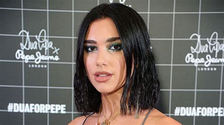 Dua Lipa’s Strawberry Blonde Hair Makeover — Pics – Hollywood Life