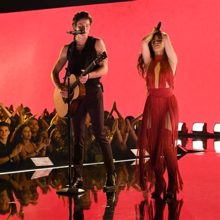 Fifth Harmony’s Camila Cabello Blows Kisses At Shawn Mendes During AMAs Performance