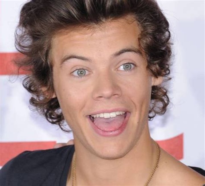 Harry Styles’ Nadine Leopold Tattoo — Did He Get Her Initials Inked On His Bod? – Hollywood Life