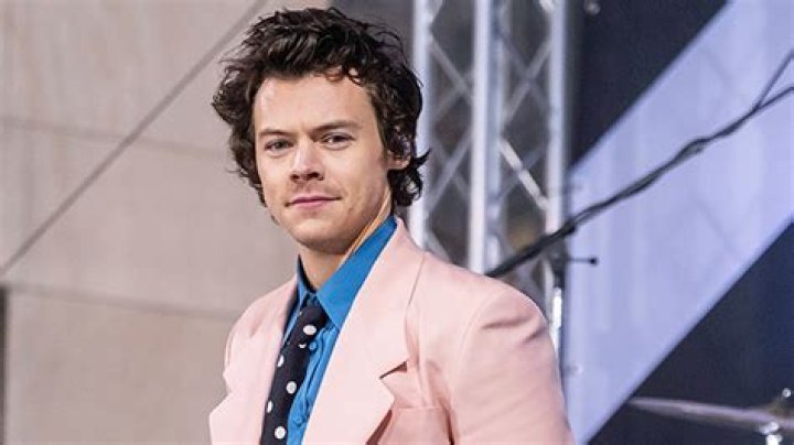 Harry Styles Rocks Fishnets & Nothing Else For Photoshoot — See Pic – Hollywood Life