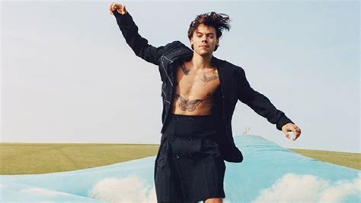 Harry Styles Wears Dress On ‘Vogue’ Cover & Rocks A Skirt, Too – Hollywood Life