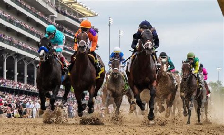 Horses In The 2016 Kentucky Derby — PICS