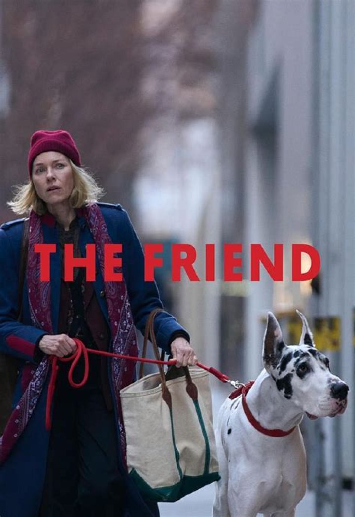 Is A ‘Friends’ Movie Happening? See The Trailer That Has Everyone Freaking