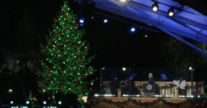 Jill Biden Glows In Red Next To President Joe At White House Tree Lighting