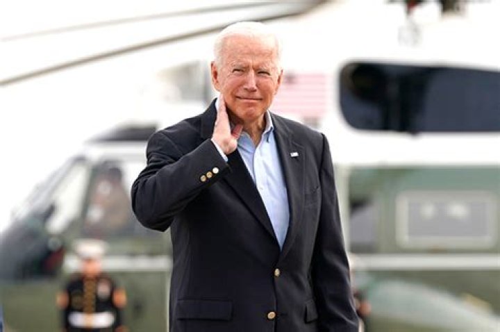 Joe Biden Swats Away Pesky Cicada After Massive Swarm Delays His Press Plane