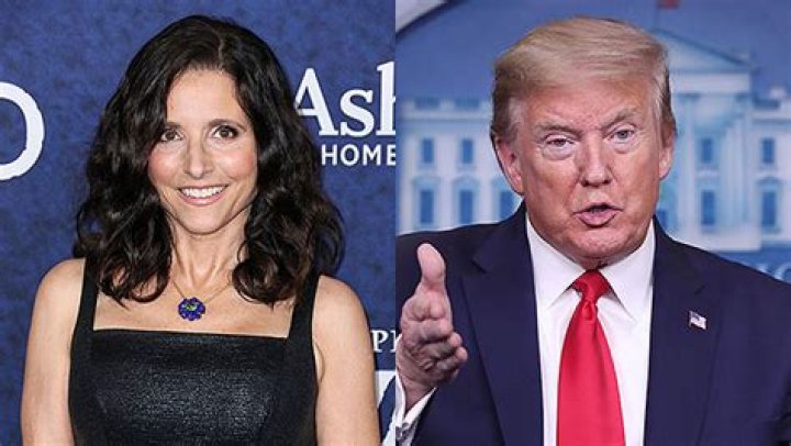 Julia Louis-Dreyfus Shades Trump While Agreeing To Be Joe Biden’s VP: ‘I’m An Unqualified TV Personality’