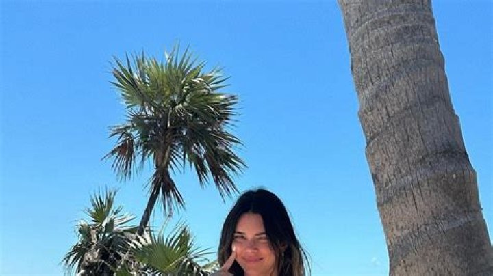 Kendall Jenner Rocks Tiny Pink Floral Bikini In Sexy New Mirror Video: Watch