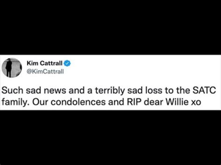 Kim Cattrall Mourns Willie Garson’s Death After Past ‘SATC’ Drama: ‘Such Sad News’