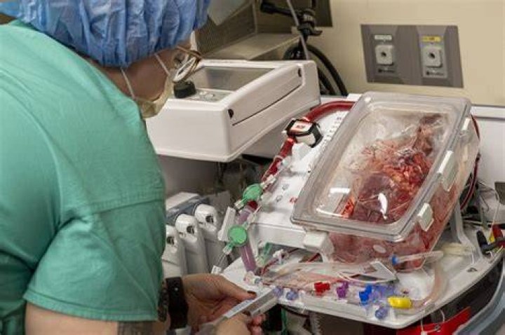 Kimbo Slice Died As Doctors Were Preparing For A Heart Transplant — Shocking Report
