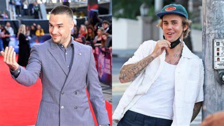 Liam Payne Shades Justin Bieber During Logan Paul Interview – Hollywood Life