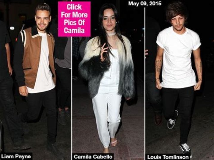 Louis Tomlinson & Camila Cabello Partying Together: New Couple? — Pics