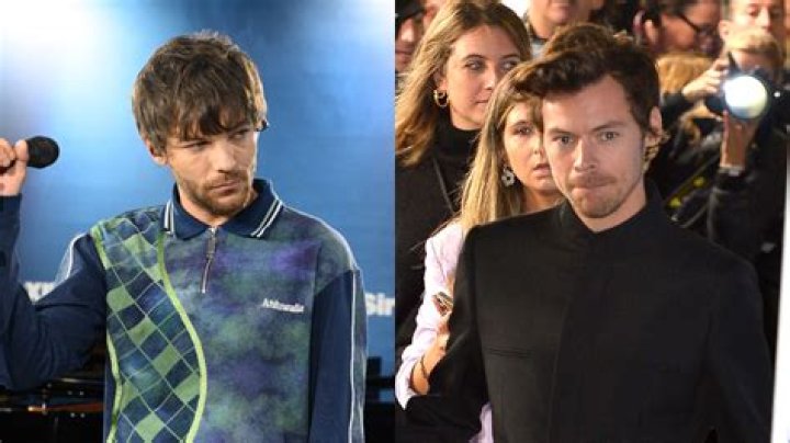 Louis Tomlinson Heartbroken: Harry Styles & 1D Boys Have Not Visited Baby Freddie