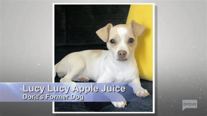 Lucy Lucy Apple Juice Now A ‘Perfect Angel’ – Hollywood Life