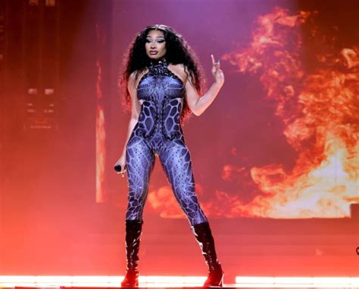 Megan Thee Stallion Rocks Purple Bustier & Fishnet At Made In America – Hollywood Life