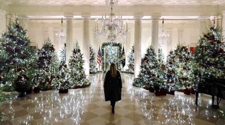Melania Trump’s White House Christmas Decorations For 2020 — Photos – Hollywood Life