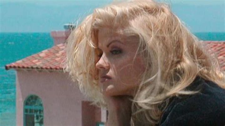 More About Anna Nicole Smith’s Ex – Hollywood Life