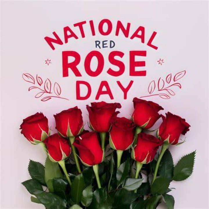 National Rosé Day — SEE PICS