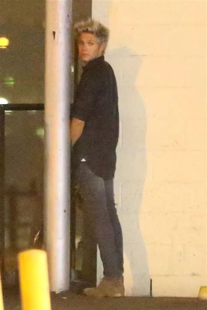 Niall Horan Caught Peeing In Public During Night Out In Los Angeles — See Pics – Hollywood Life