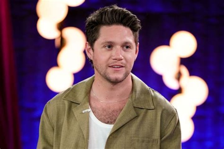 Niall Horan Talks Lizzo’s Flirty Moment On Jimmy Fallon: Watch – Hollywood Life