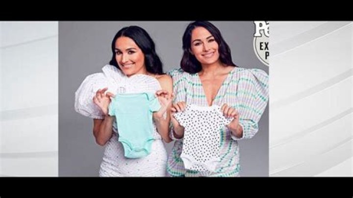 Nikki & Brie Bella Pregnant: Twin Sisters, 36, Expecting Babies At The Same Time — Congrats