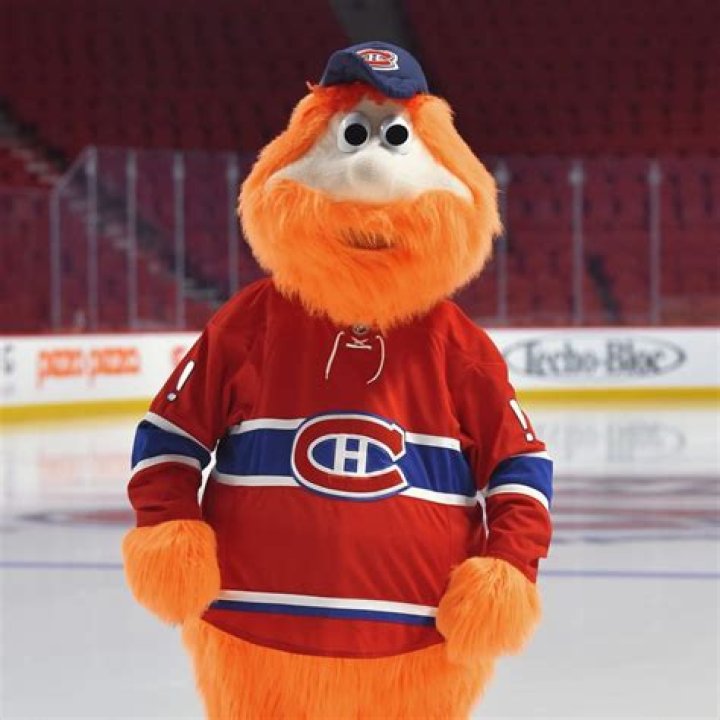 Pics Of The New Hockey Mascot – Hollywood Life