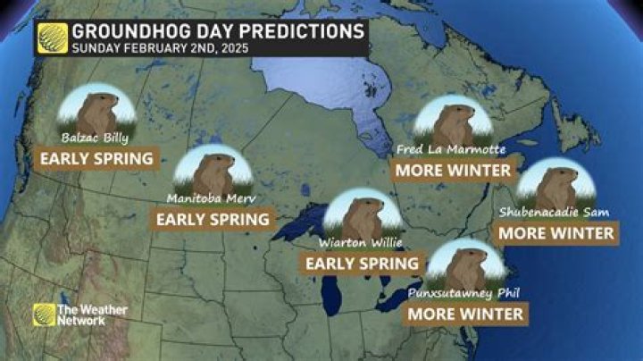 Pictures Of Weather Predicting Groundhog – Hollywood Life