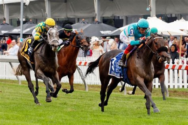 Preakness Stakes: Where, When, How To Watch The Epic Horse Race