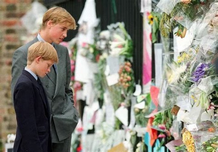 Prince William & Prince Harry Smile As They Reunite To Unveil Tribute To Mom Princess Diana