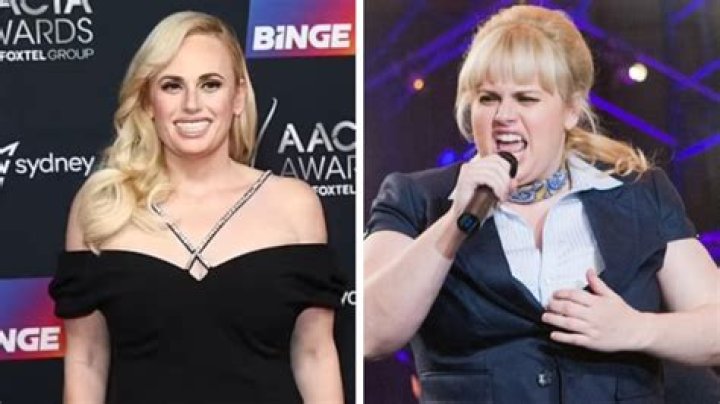 Rebel Wilson Lifts Shirt To Reveal Nasty Bruised Ribs After Freak Accident — Watch