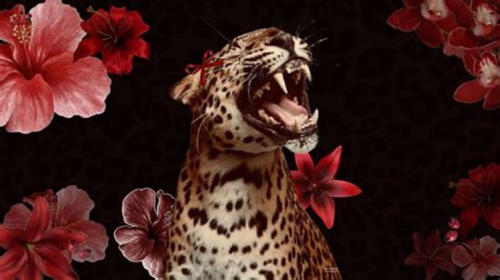 Rebel Wilson Shows Off 60-Lb. Weight Loss In Red Cheetah Print Leggings While Hiking — Pic