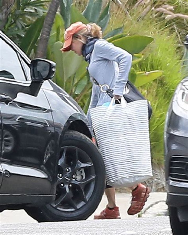 Renée Zellweger Moves Personal Belongings Into Ant Anstead’s House – Hollywood Life