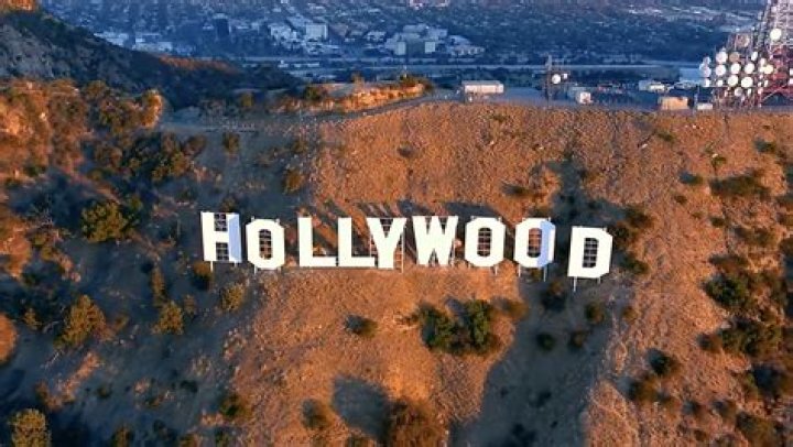 See Bikini & Modeling Shots – Hollywood Life