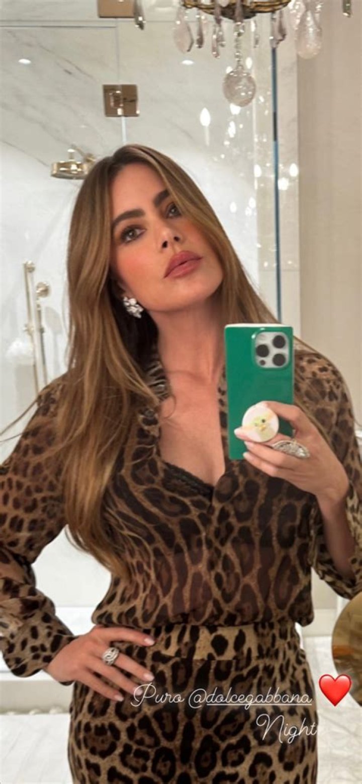 See Her Leopard Print Dress – Hollywood Life