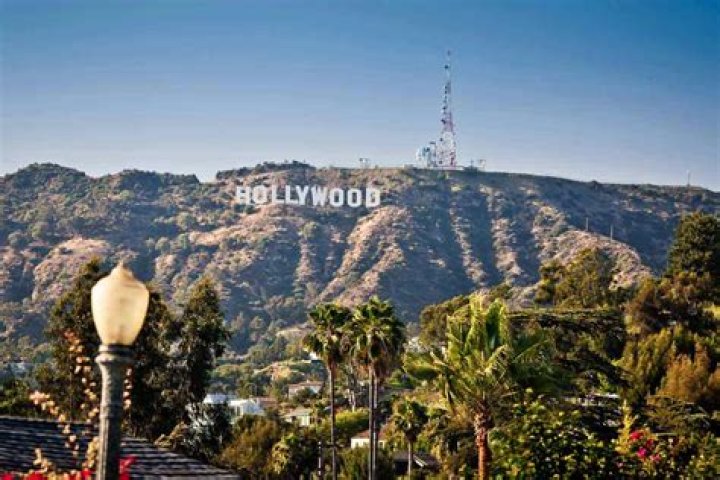 See Pic – Hollywood Life