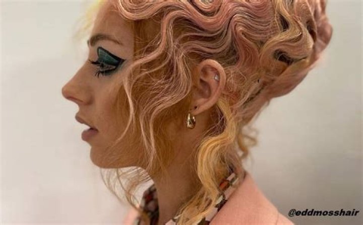 See The Hair Trend – Hollywood Life