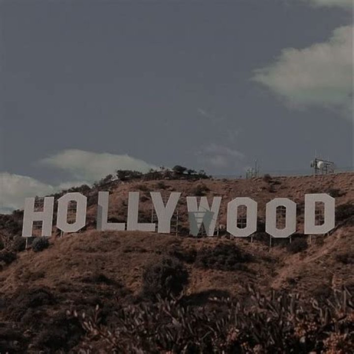 See Tweet – Hollywood Life
