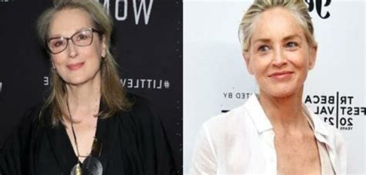 Sharon Stone’s Strong Opinions About Meryl Streep’s Career Go Viral On Twitter