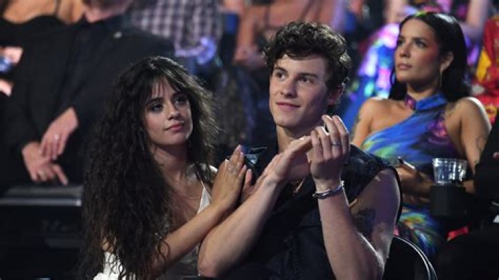 Shawn Mendes & Camila Cabello Finally Confirm Romance By Passionately Kissing In Miami