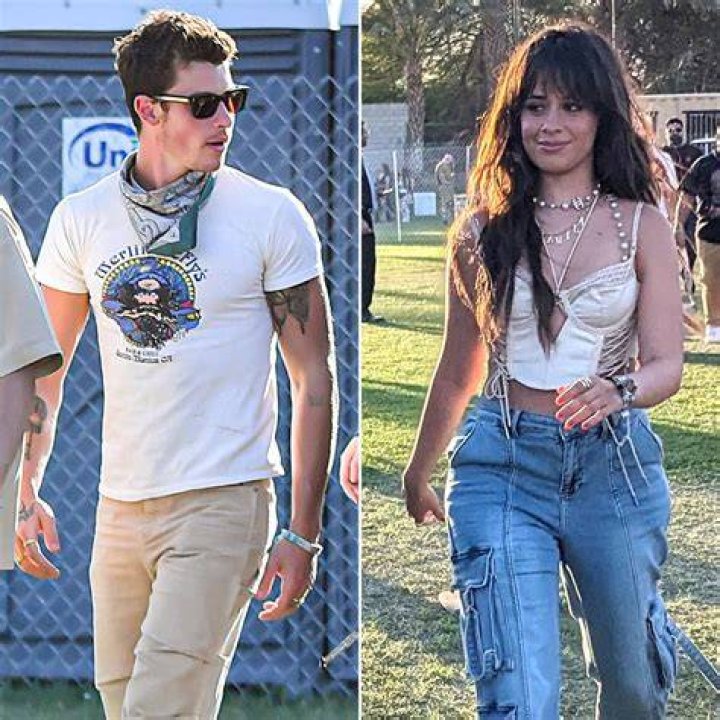 Shawn Mendes & Camila Cabello Get Very Personal Tattoos Together — See Videos
